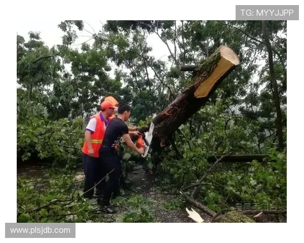 六局鏖战终获胜利奋力拼搏显英雄本色 六局鏖战终获胜利奋力拼搏显英雄本色